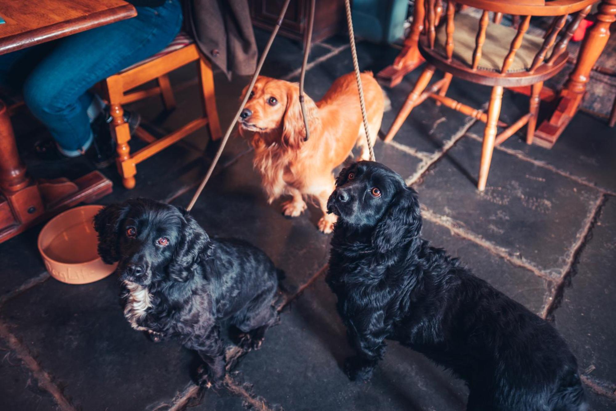 The White Horse Inn Bunkhouse Threlkeld Екстер'єр фото